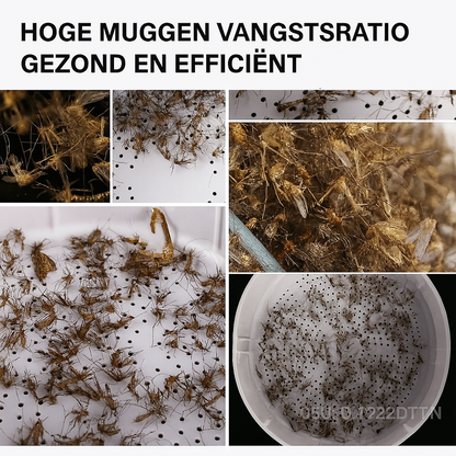 Trappio – Fluisterstille Insectenvanger