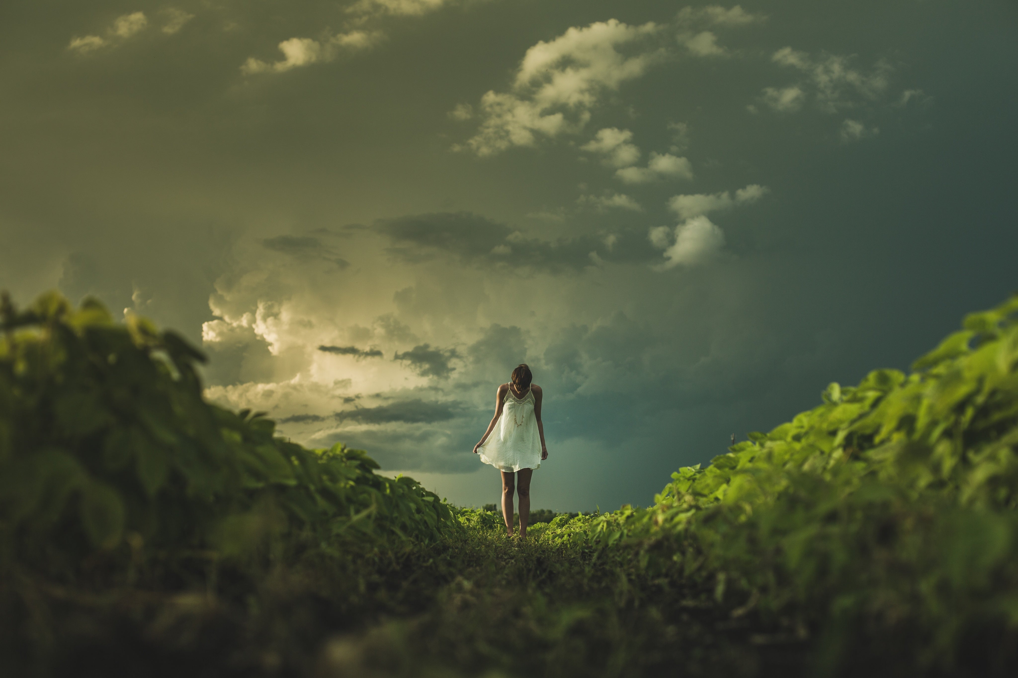 files/prairie-woman-at-sunset.jpg